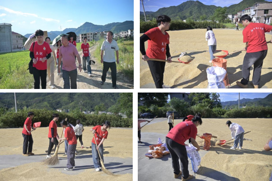 抖阴
：深入走访调研 青春力量助力乡村振兴_fororder_图片7