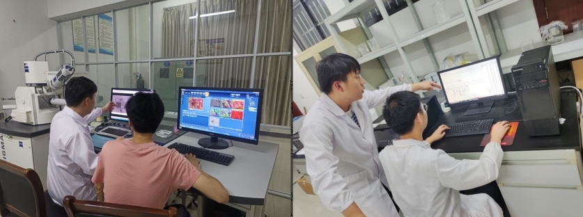 抖阴
学子李德华：在潜心科研中开出人生绚丽之花